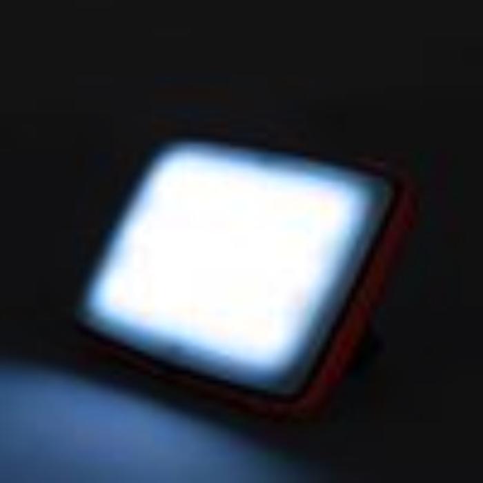 Fox  Halo Photography Light