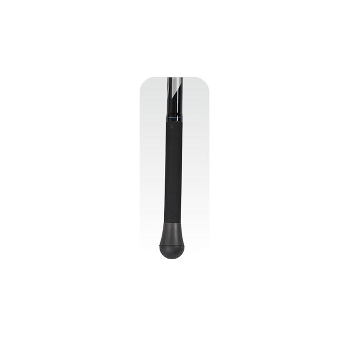 Colmic Tele Beach MASK 4,10mt