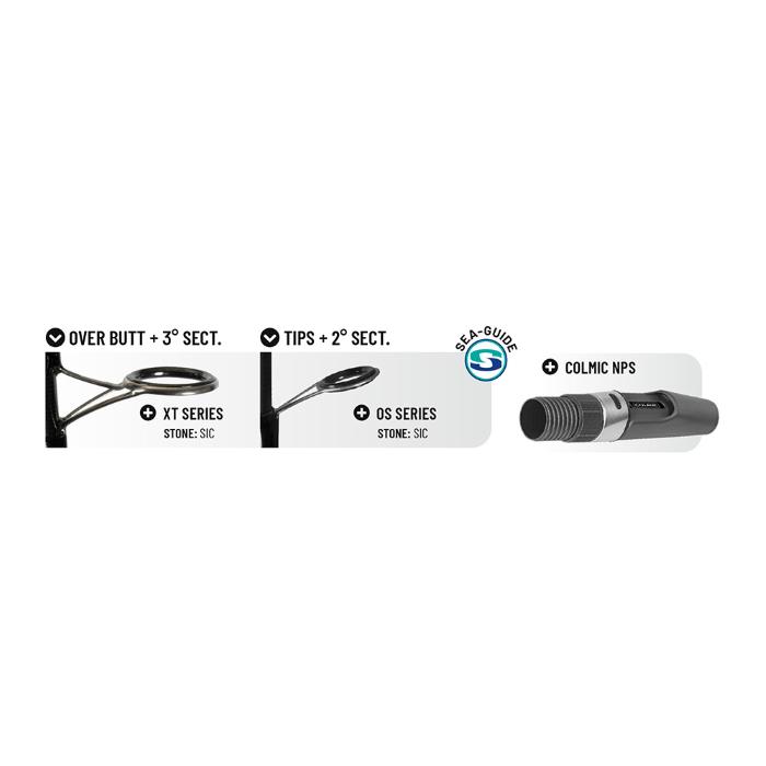 Colmic Canne Beach Ledgering VIPER 4,30mt (40-120gr) 2 CARBON TIPS